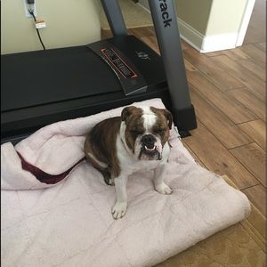 Meet your Posher, Ann